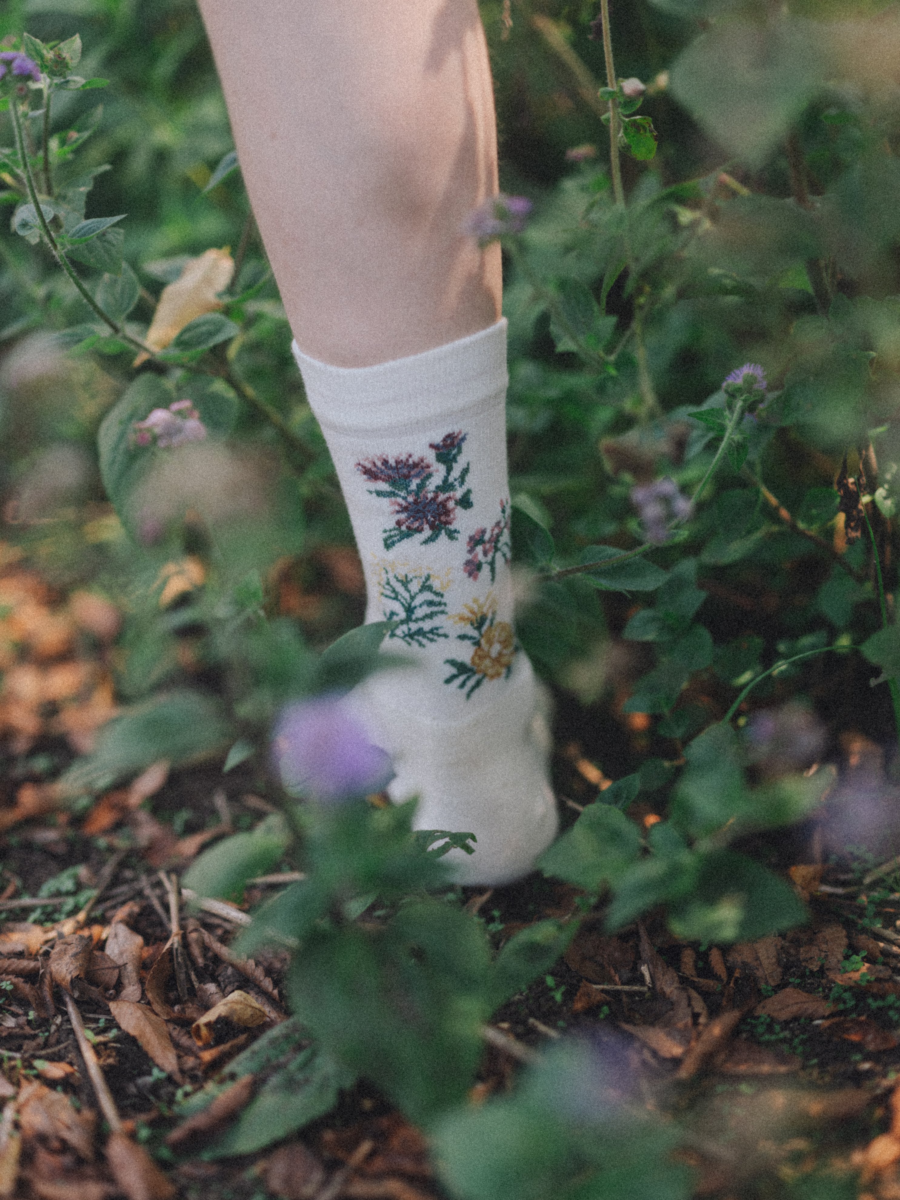 Merino Socks
