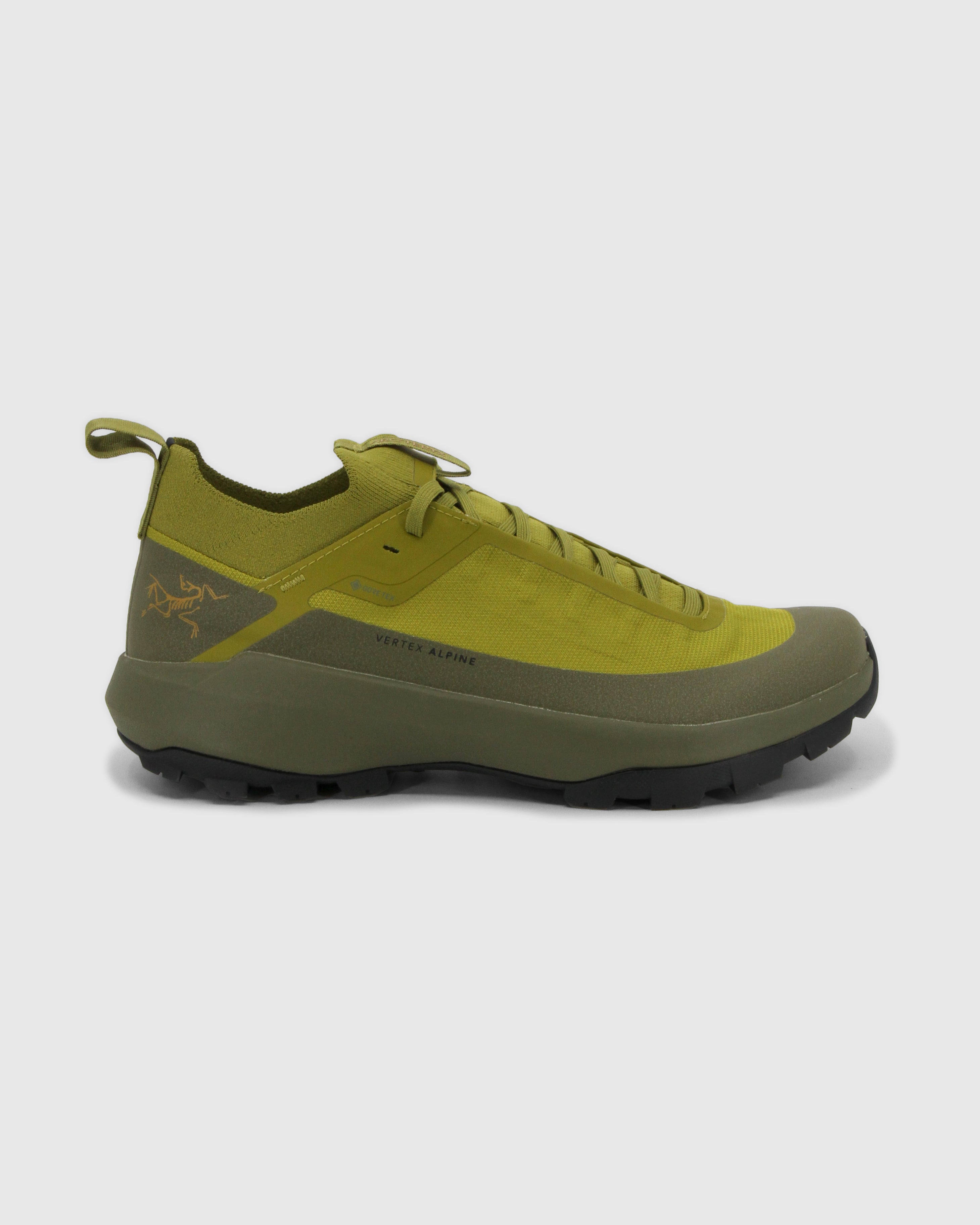 Vertex Alpine GTX Shoe Men's
