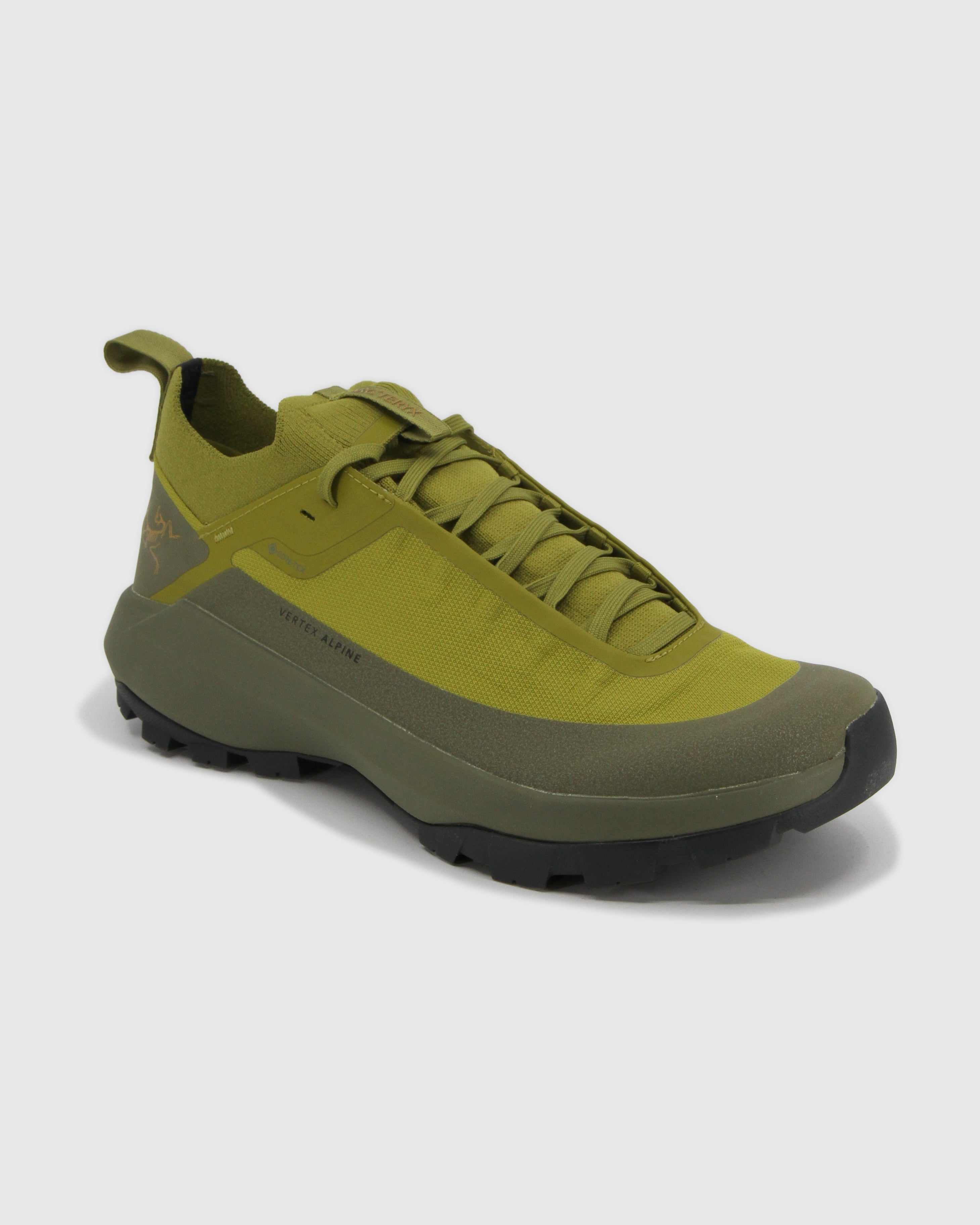Vertex Alpine GTX Shoe Men's