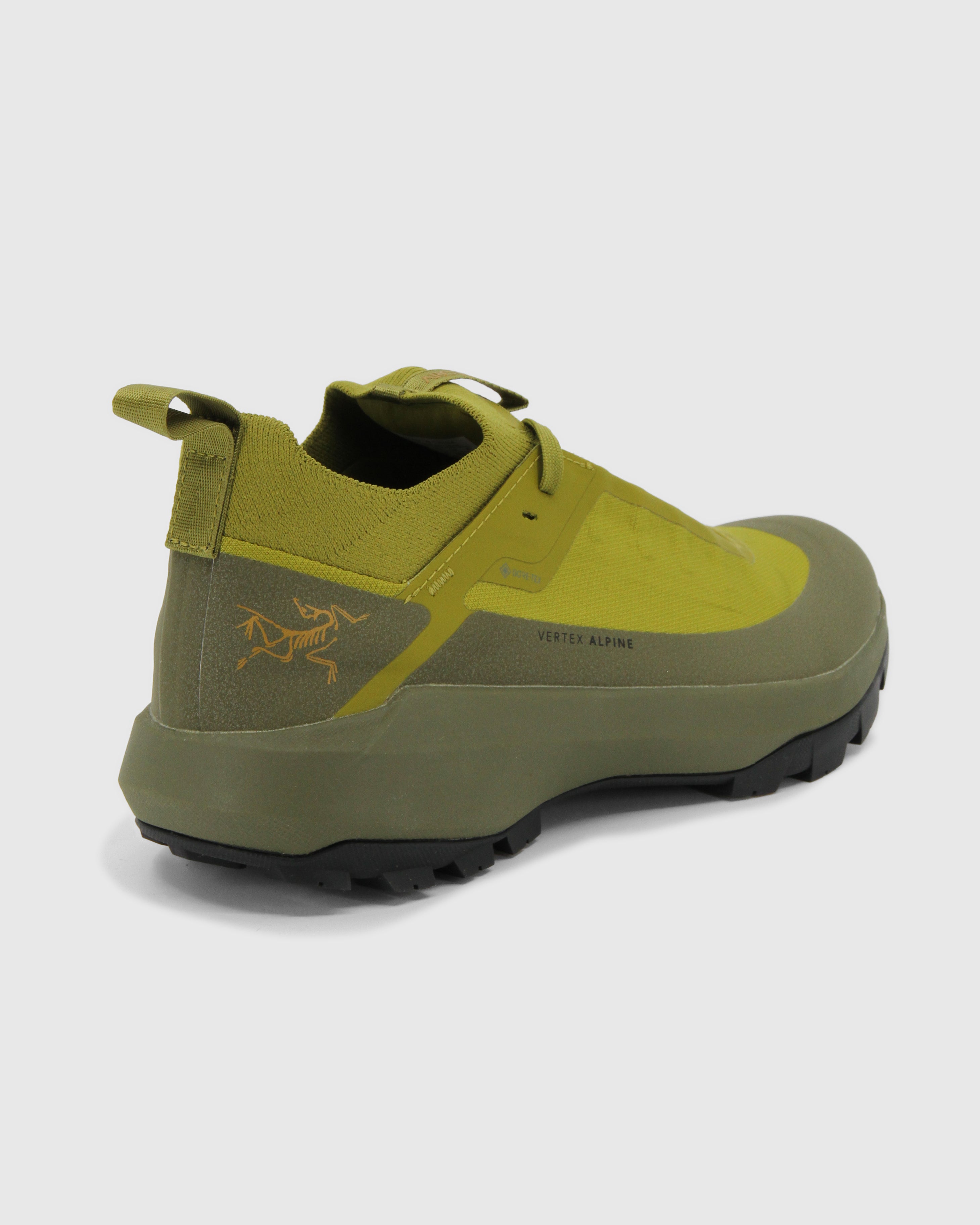 Vertex Alpine GTX Shoe Men's