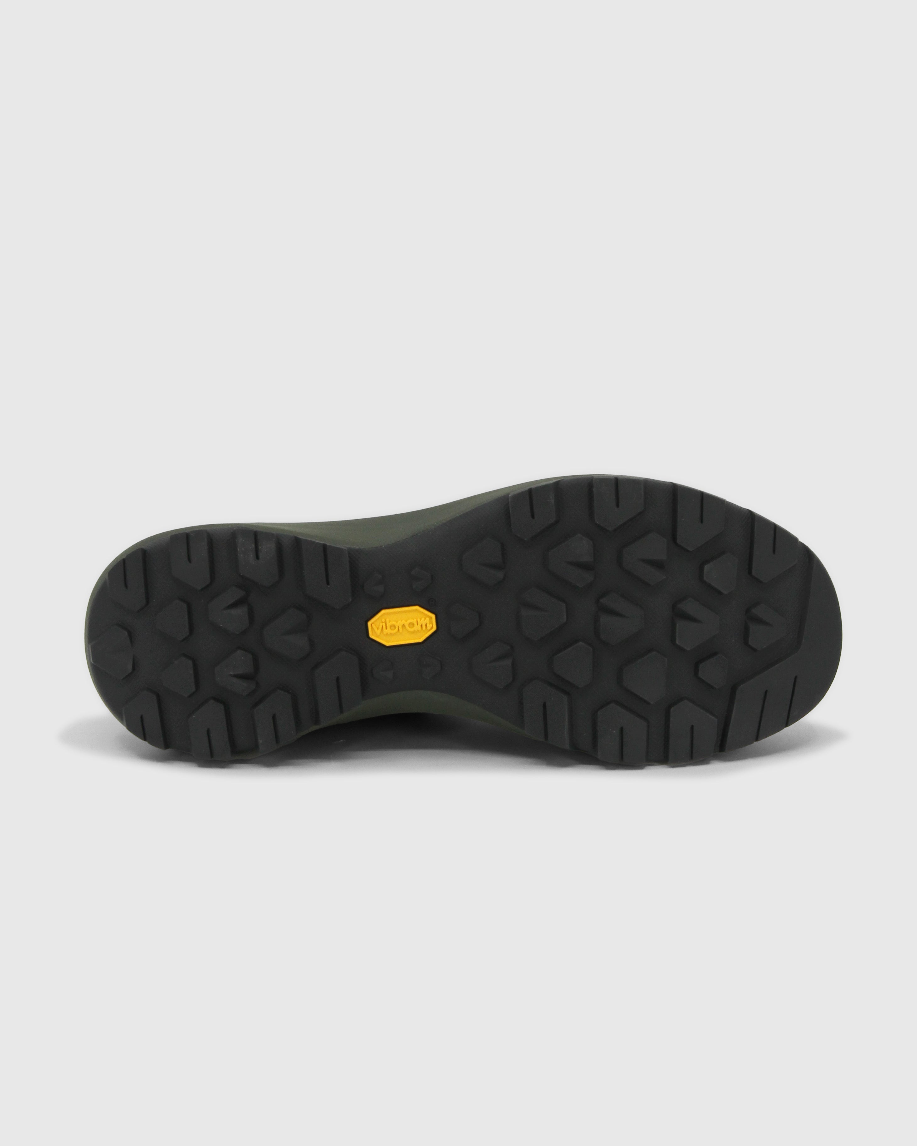 Vertex Alpine GTX Shoe Men's