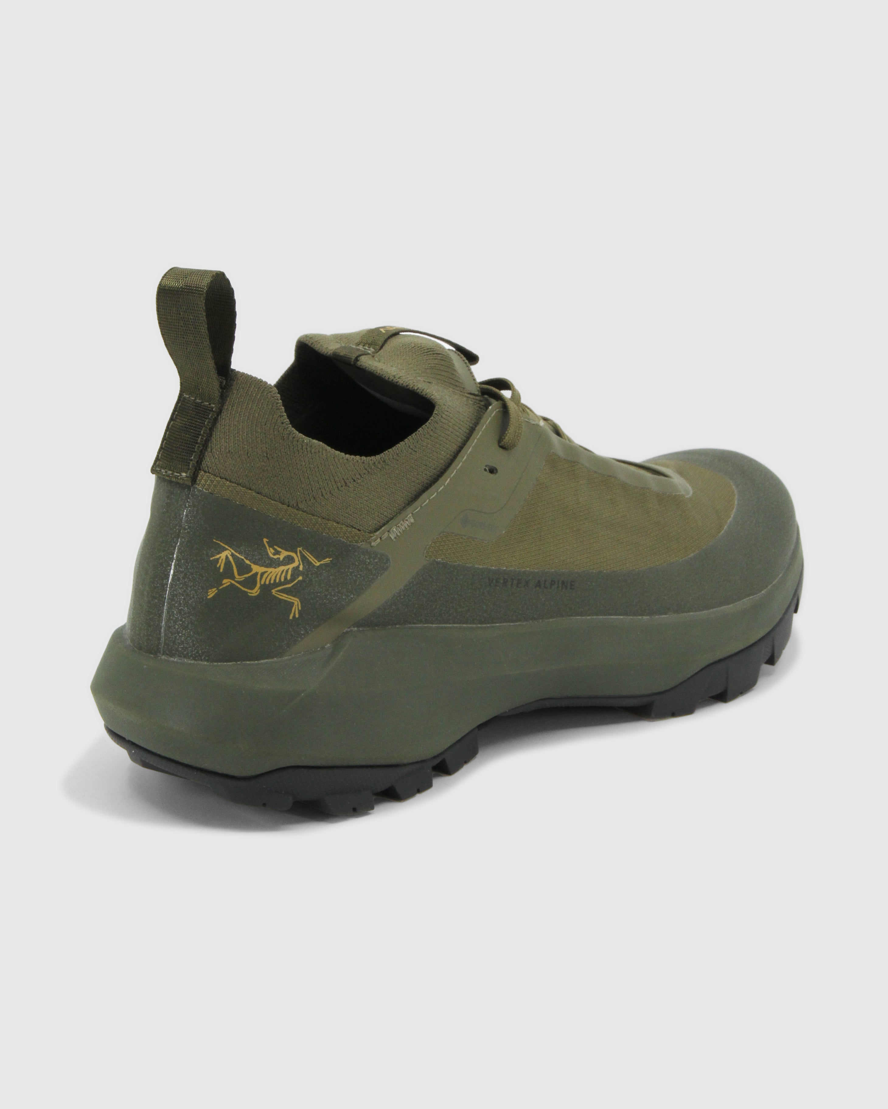 Vertex Alpine GTX Shoe Men's