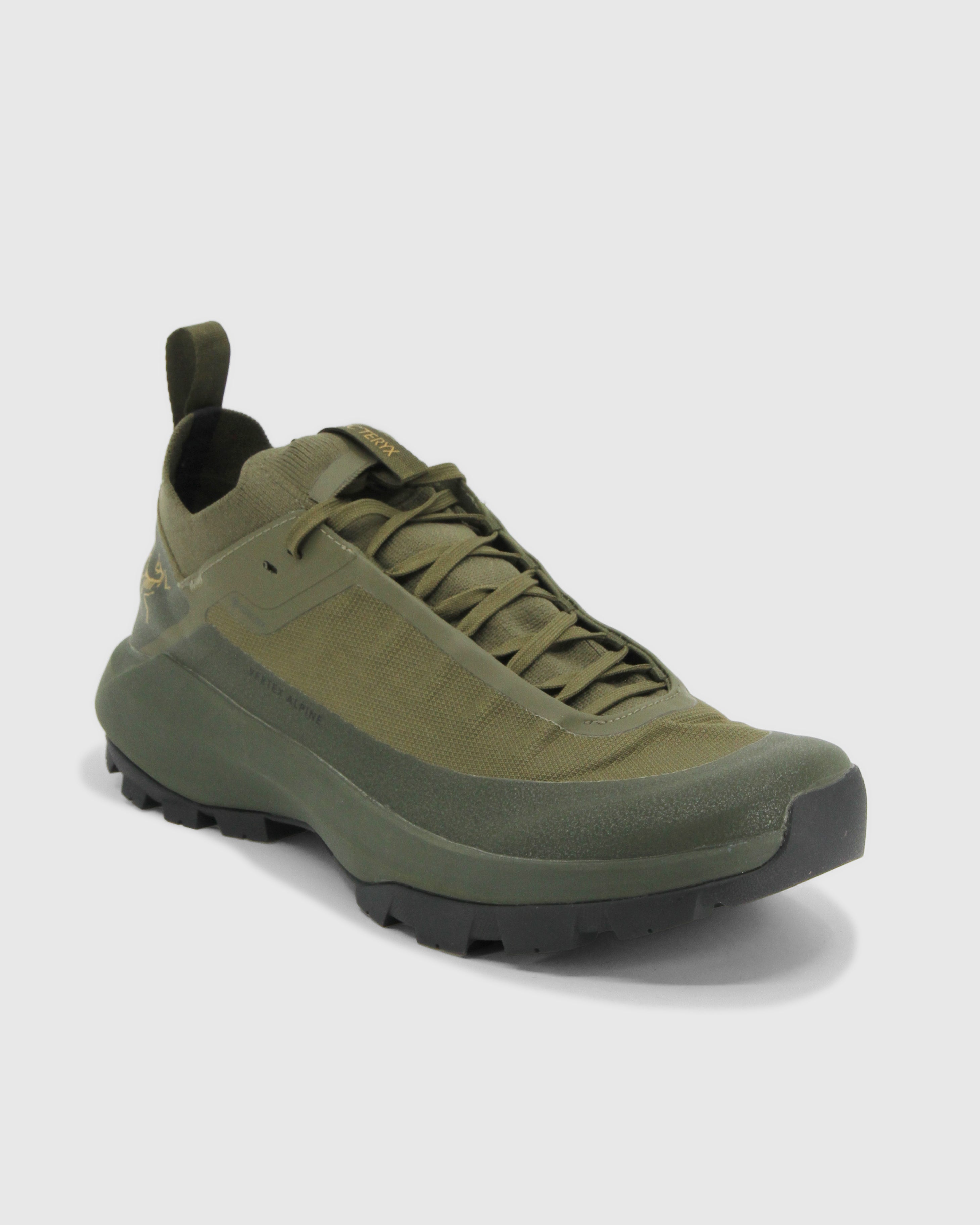Vertex Alpine GTX Shoe Men's