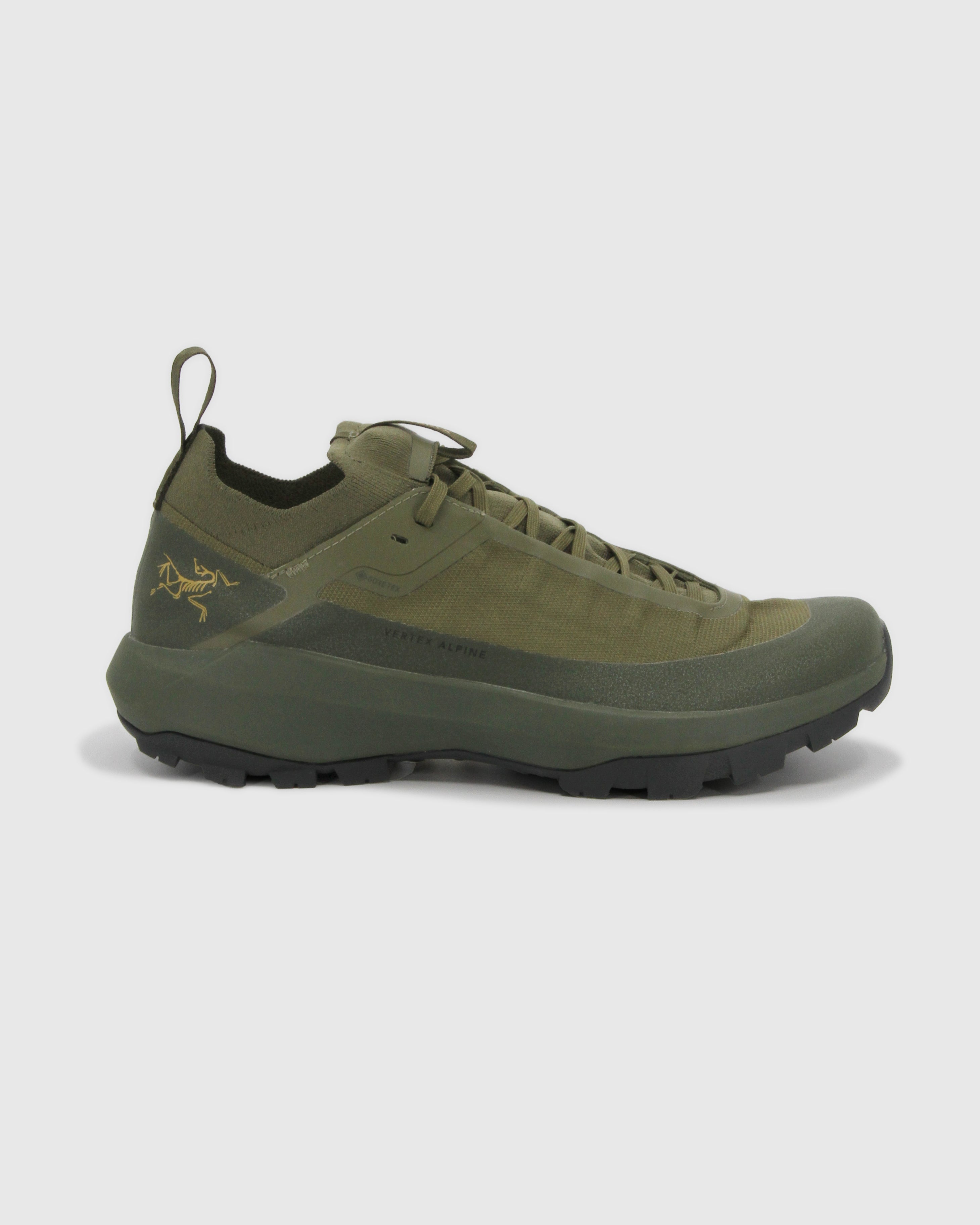 Vertex Alpine GTX Shoe Men's