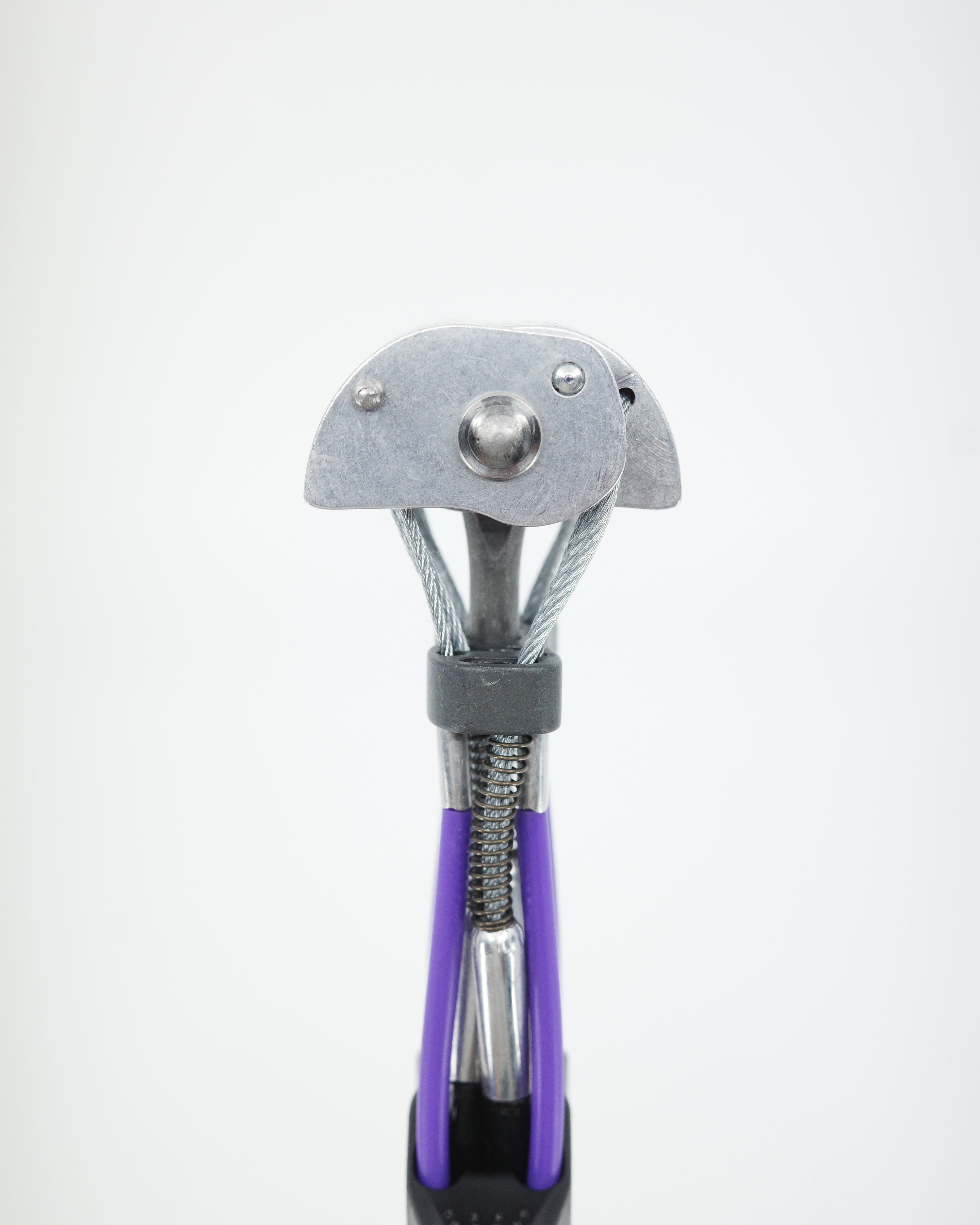 Totem Cam