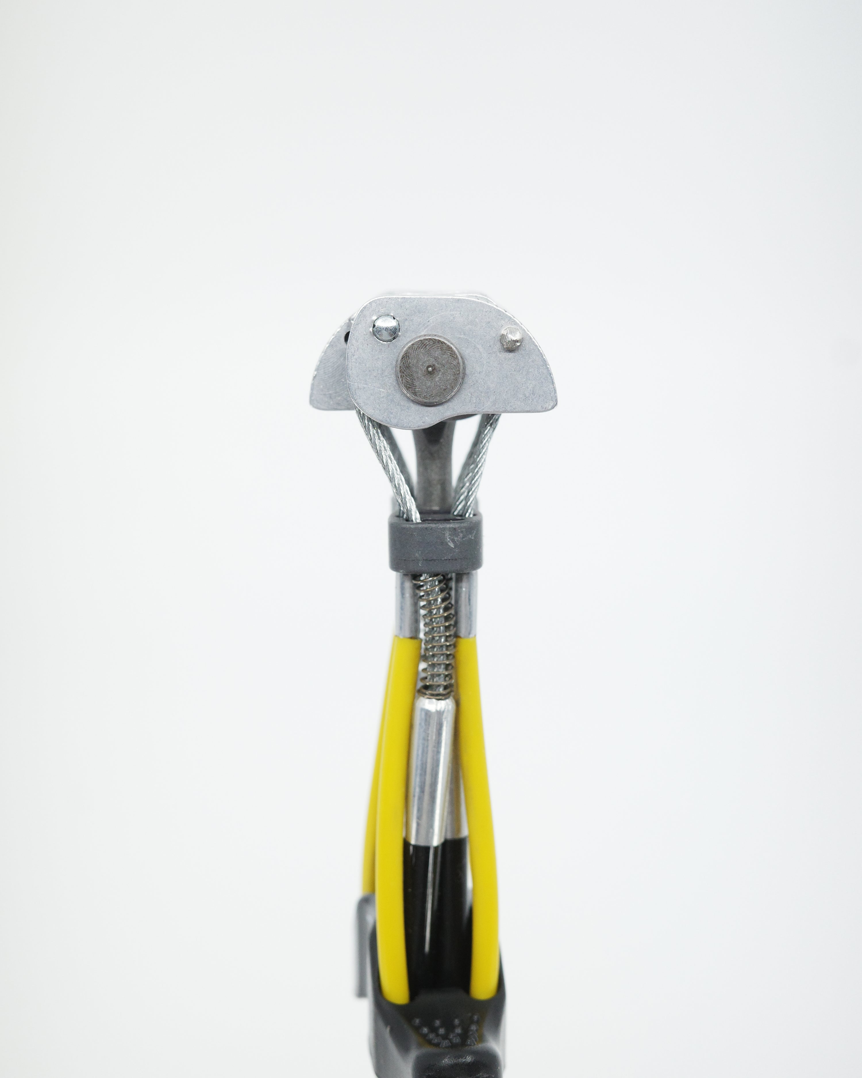 Totem Cam