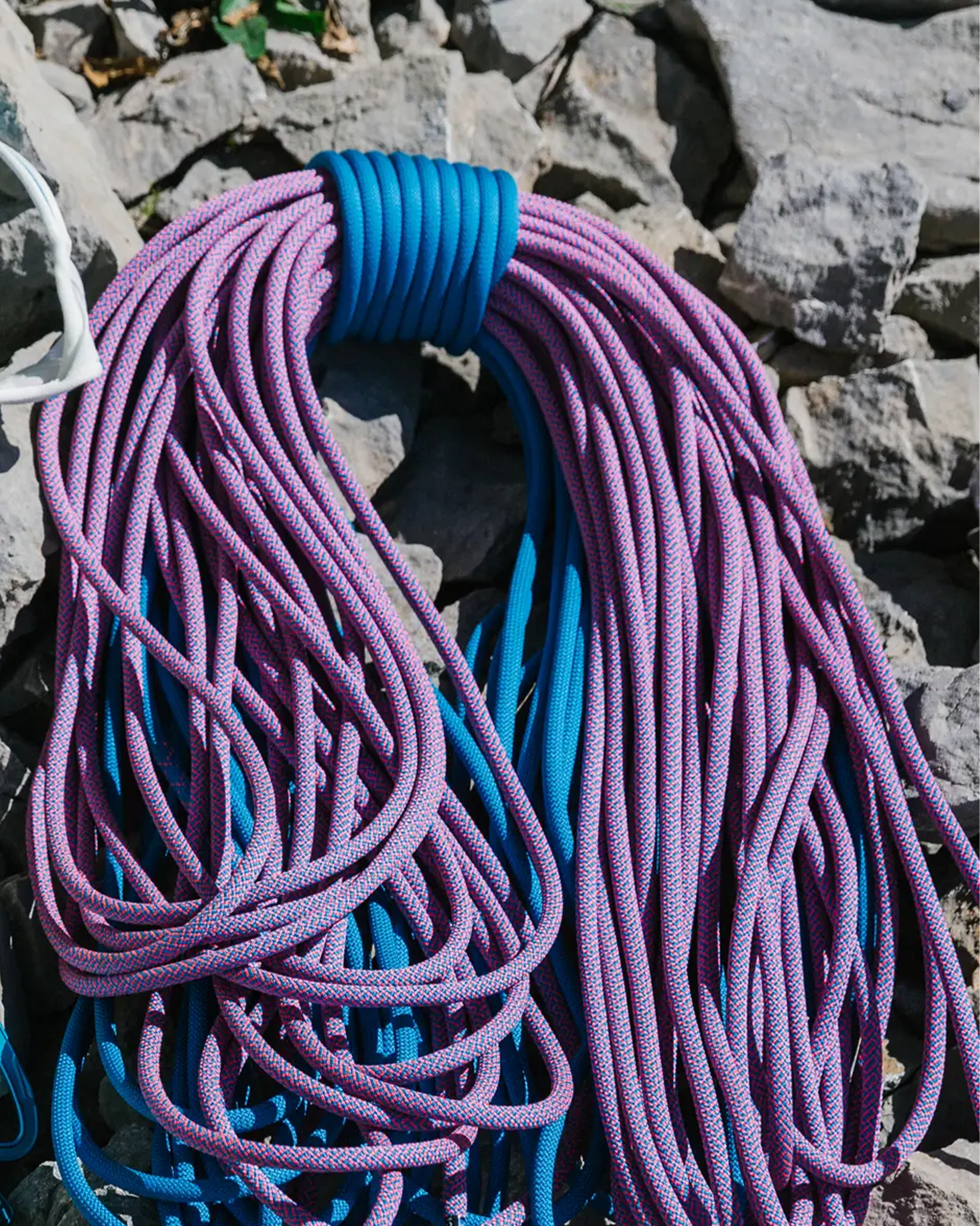 TOMMY CALDWELL ECO DRY CT 9,3MM